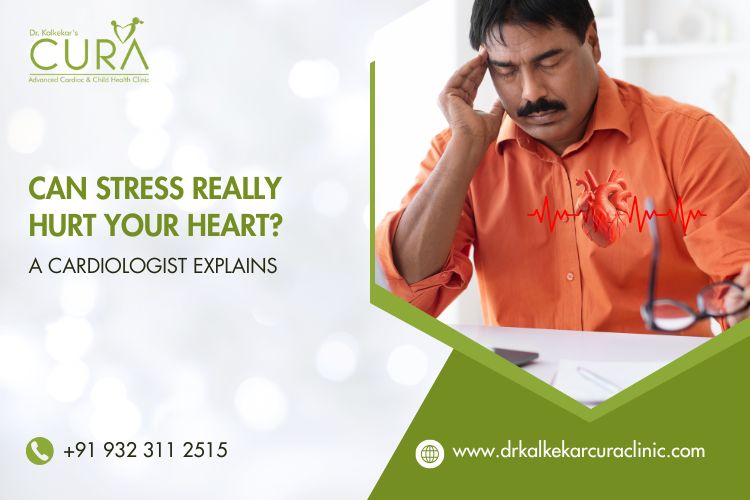 cardiovascular doctor in Seawoods