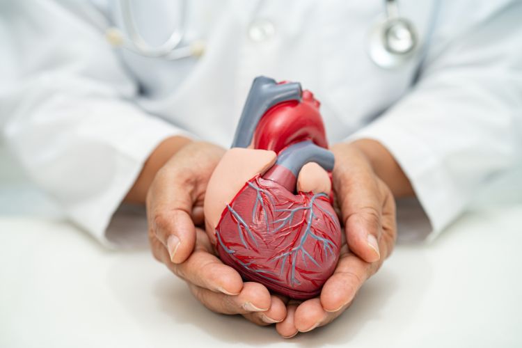 cardiovascular doctor in Seawoods